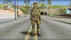 Forest SAS from Soldier Front 2